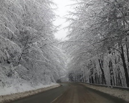 Страшна Коледа за близките на 51-годишна жена