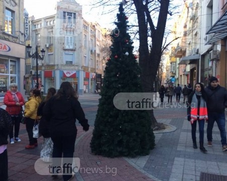 Елхите на Главната в Пловдив останаха без играчки СНИМКИ
