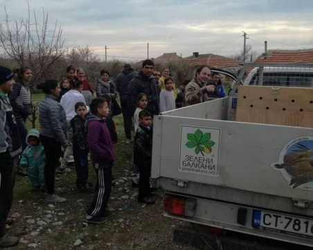 Цигани спасиха лешояд от смърт, сигнализирали на природозащитници