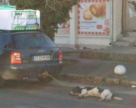 Добра новина! Спасиха кучето, влачено с въже за теглича СНИМКА