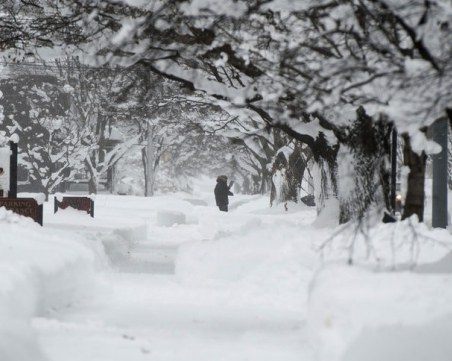 Рекордно количество сняг в САЩ, обявиха извънредно положение