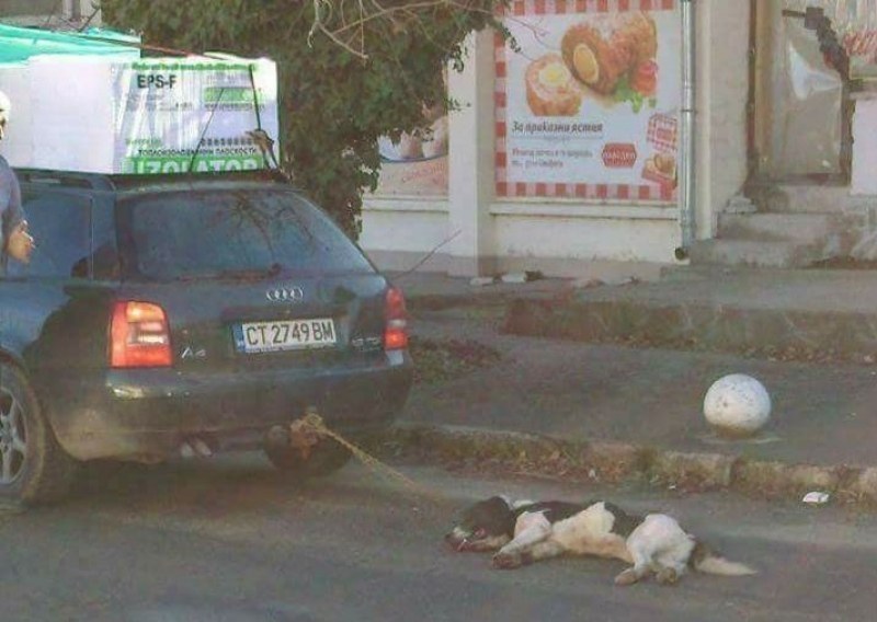 Добра новина! Спасиха кучето, влачено с въже за теглича СНИМКА