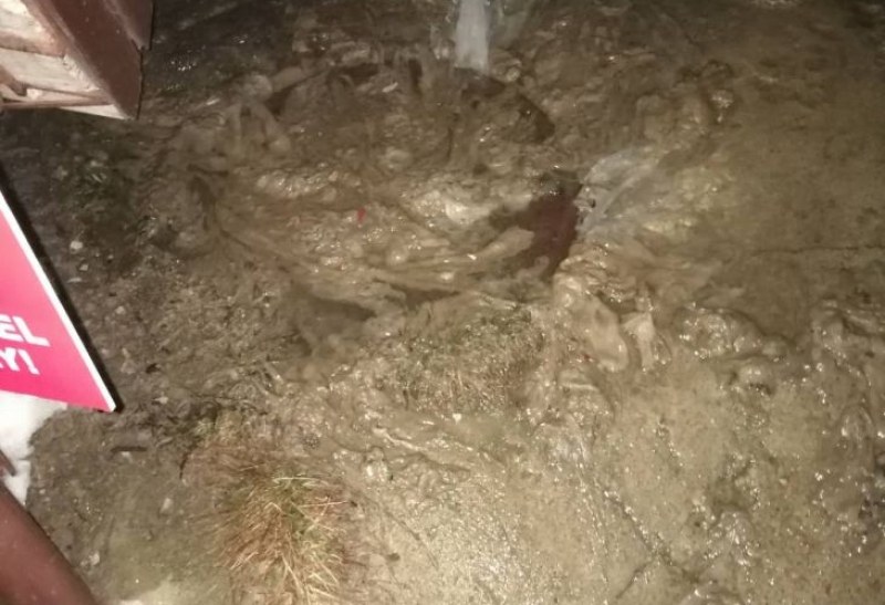 В Боровец е страшно, посрещат туристите със смрад