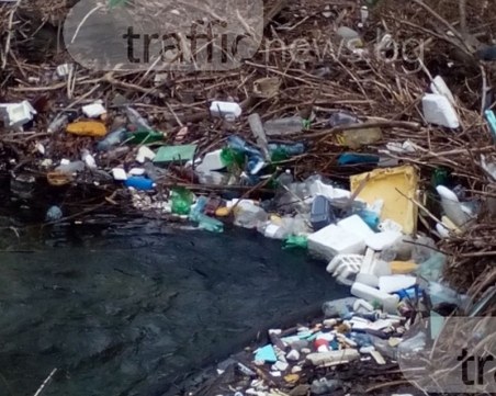 Чудите ли се защо има умряла риба в Гребния канал? Може би това е отговорът СНИМКИ