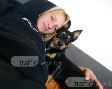 Бруно, който се стресна от пиратки и избяга, вече си е у дома!