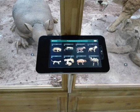 Мечки и лъвове реват в Природонаучния музей в Пловдив