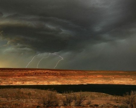 Най-странните истории на 2017 година