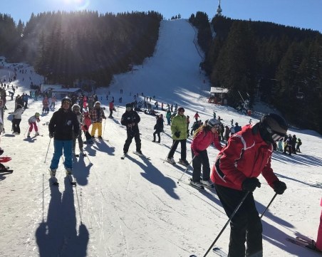 Истински айляк в момента на час от Пловдив ВИДЕО