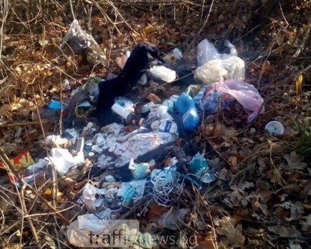 Пловдивчанин тръгна на разходка, а се натъкна на... ужасяваща картина СНИМКИ