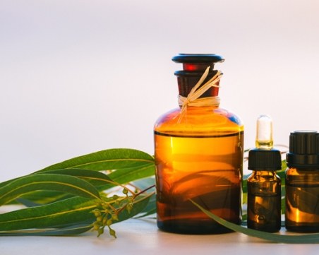 Избор за превенция в сезона на грипа: Масло от евкалипт