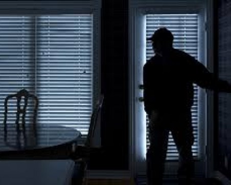 Обраха вила край Перущица в първите дни на новата година