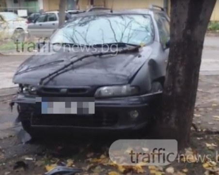 Пиян “паркира“ фиата си в дърво след полунощ в Пловдив