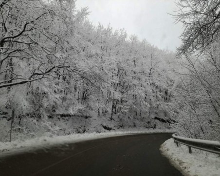 Сняг се сипе на парцали в любимия зимен курорт на пловдивчани СНИМКИ