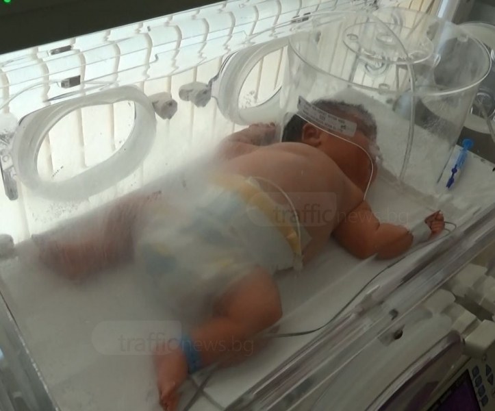 Пловдив се нареди на второ място по брой новородени в страната
