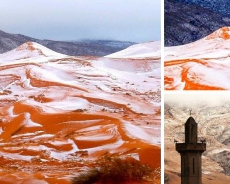 Зачестилите снеговалежи в пустинята Сахара са признак за глобално затопляне