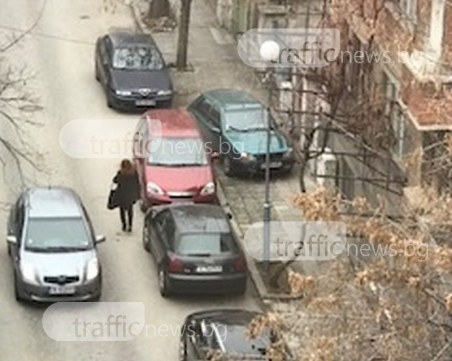 Пловдивчанка превърна тротоар в бащиния СНИМКИ