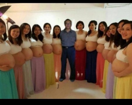 Този палавник има 13 жени и всички са бременни едновременно