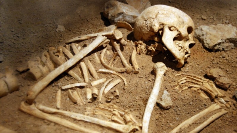 Жена откри скелет на човек в плевнята си в село Арчар