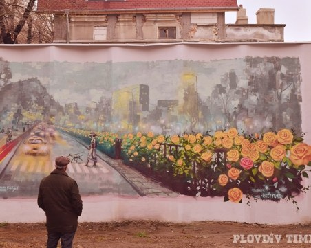 Жълти рози цъфнаха в центъра на Пловдив - не в земята, а върху... трафопост СНИМКА