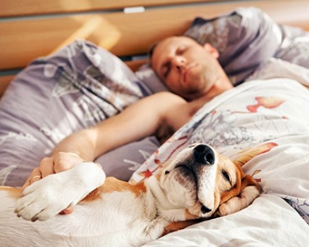 Учени: Ако спите през деня, може да имате проблеми