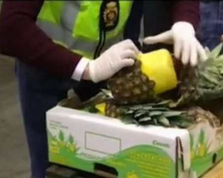 Арестуваха 9 души за пренасяне на 745 килограма кокаин, скрит в ананаси