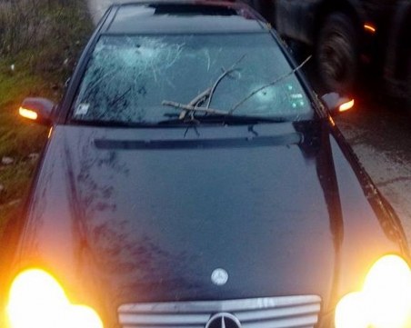 Клон строши стъклото на колата на пловдивчанка, докато пътува СНИМКИ