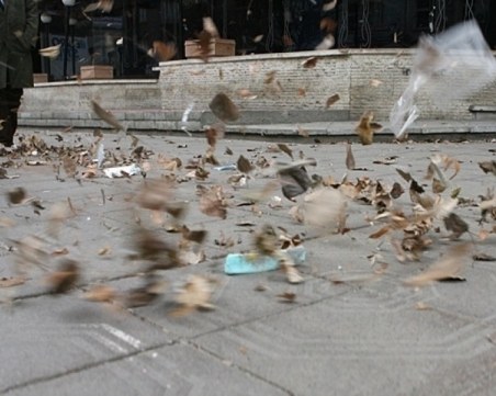 Ураганен вятър бушува в Пловдив, има опасност и от леден дъжд!