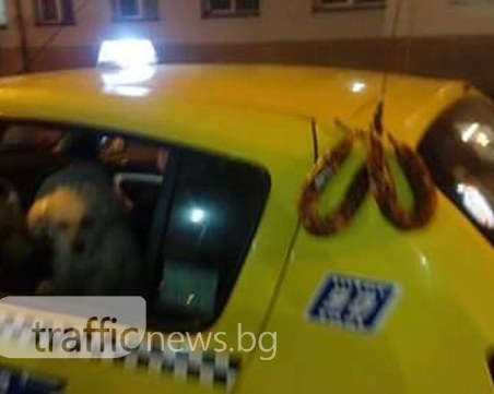 Важното е да духа! Пловдивчанин кара такси - предлага го с... луканка СНИМКИ