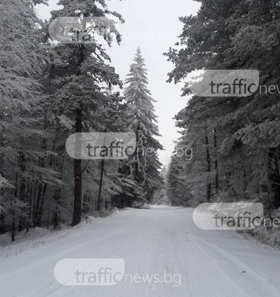 Ограничения по пътищата в Смолянско заради новия снеговалеж