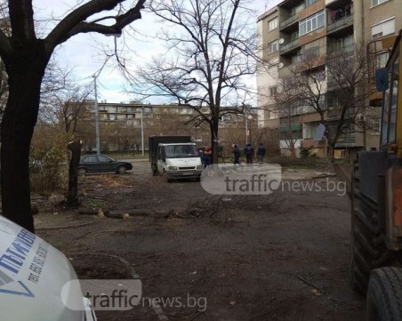 Правят паркинги за 140 коли в голям пловдивски квартал ВИДЕО и СНИМКИ