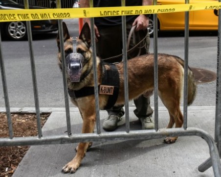 Това вече е новина! Мъж ухапа куче, и то полицейско