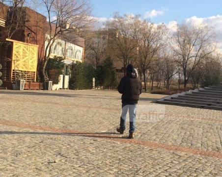 Гълъби накацаха пловдивчанин в Тракия, той тръгна на разходка с тях СНИМКИ