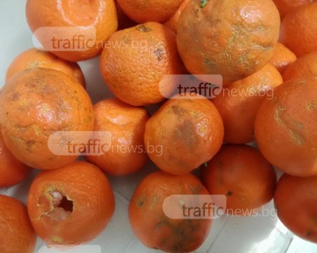 Гнилоч - безплатната следобедна закуска за ученици в Пловдив СНИМКИ