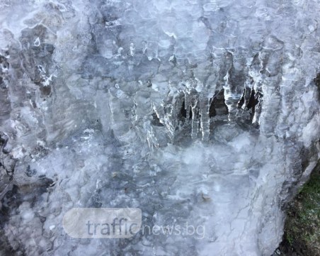 Ледена дантела загърна Джендема! За ужас на пловдивските кучета... СНИМКИ