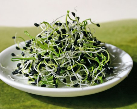 7 храни, които не трябва да се ядат сурови