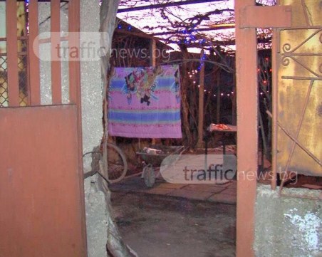 Задържаха лелята на детето, убито от питбул