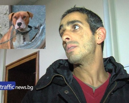 Проговори собственикът на питбула-убиец! Надига се вълна в защита на кучето ВИДЕО