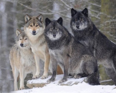 Утрешният ден е един от най-лошите дни в годината