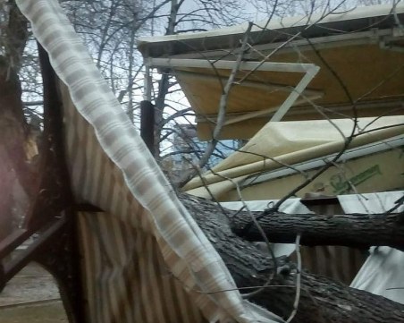 Вятърът събори дървета на пътя Пазарджик - Пловдив, цялата пожарна накрак