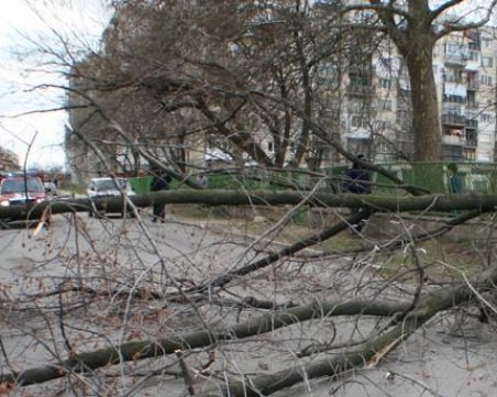 5000 домакинства останаха без ток заради вятъра