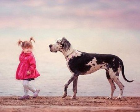 Родители не успяха да решат задача за първокласници! А вие?