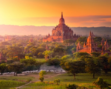 Астрология от Мианмар: Какво животно сте според деня на раждане?