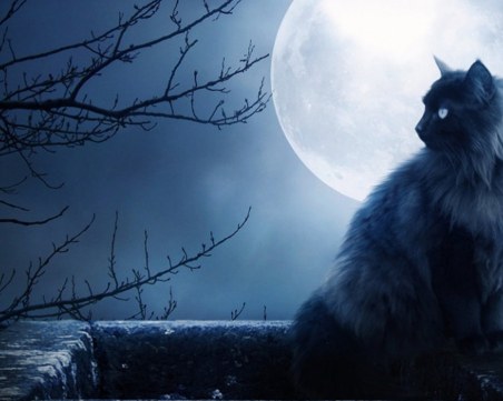 Как ни действа месец февруари, в който няма Пълнолуние