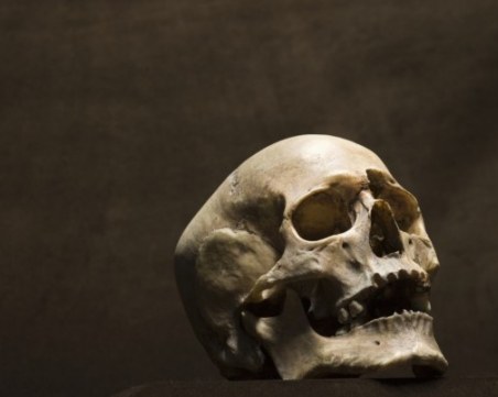 Момиче откри зловеща находка в гардероба си в квартирата - череп