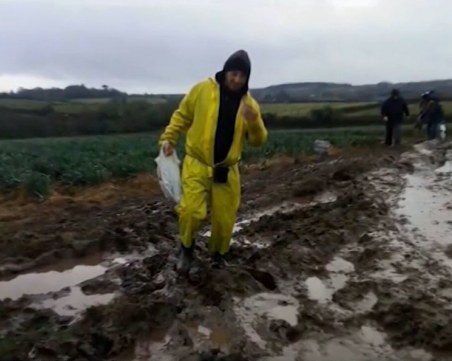 Проговориха българите, които били експлоатирани като роби в Англия ВИДЕО