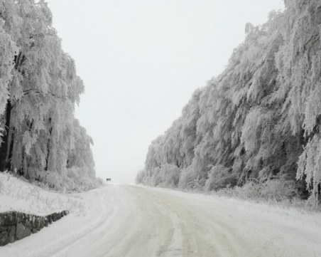 Тежка пътна обстановка край Пловдив! Шофьори, внимавайте в тези участъци ВИДЕО