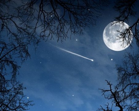 Днес е ден за желания! Използвайте го правилно