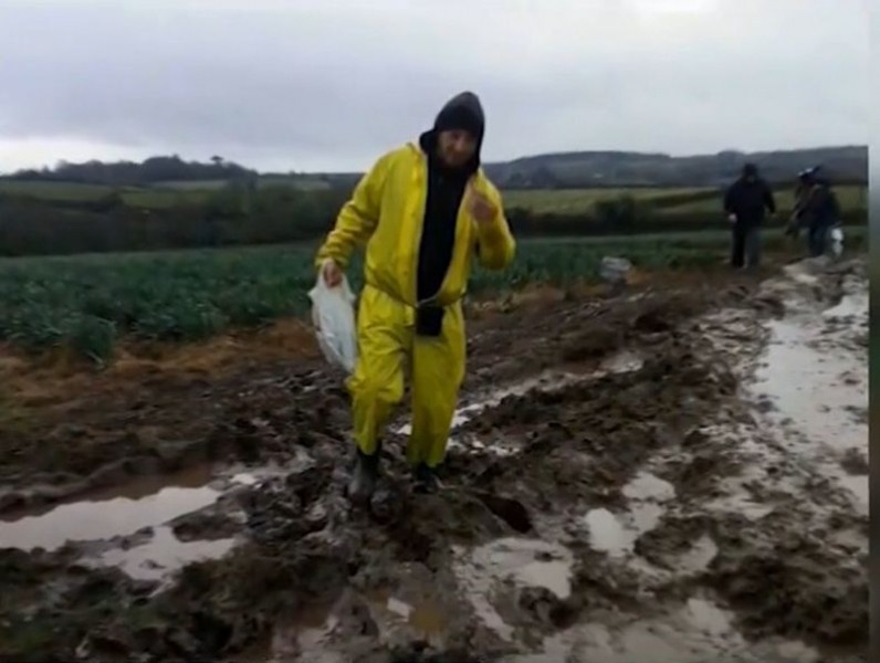 Отнемат лиценза на фирмата посредник, изпращала работници в Корнуол