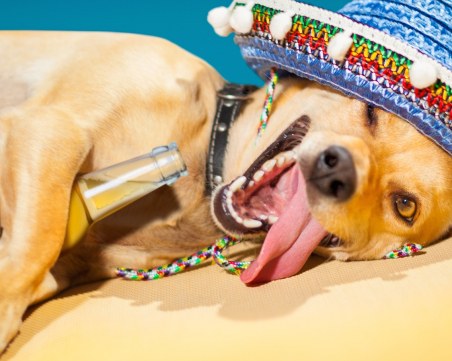 12-те алкохолни знаци от зодиака