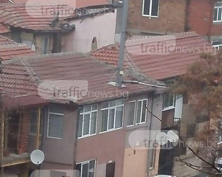 Зараза! Вградените улични стълбове в Пловдив се роят СНИМКА